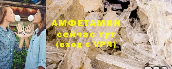 гашик Новозыбков