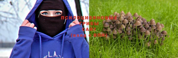 бошки Арсеньев